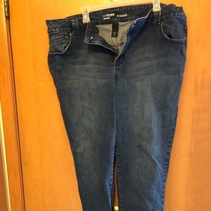 Lane Bryant Genius Fit Jeggings. Size 24.